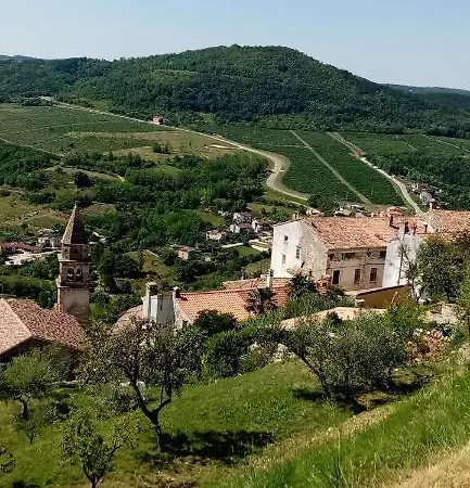 Serafin-lavanda * Motovun