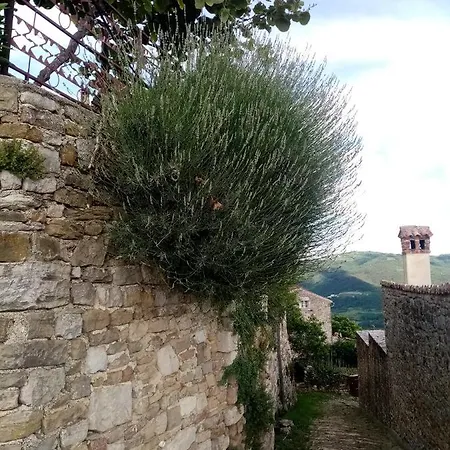 Serafin-lavanda Vendégház Motovun