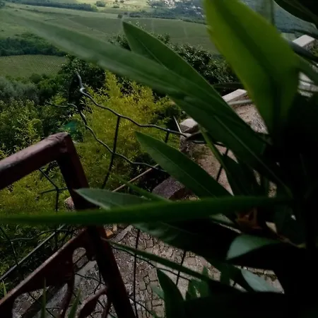 Guest house Serafin-lavanda *